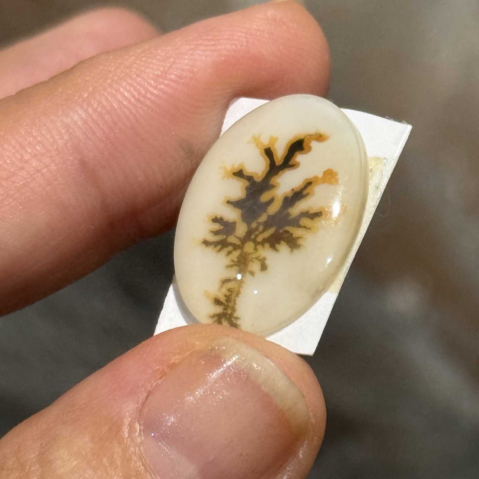 10.7ct 21×15.7×4.2mm Dendritic Agate Crystal Doublet Oval Cabochon Picture Stone