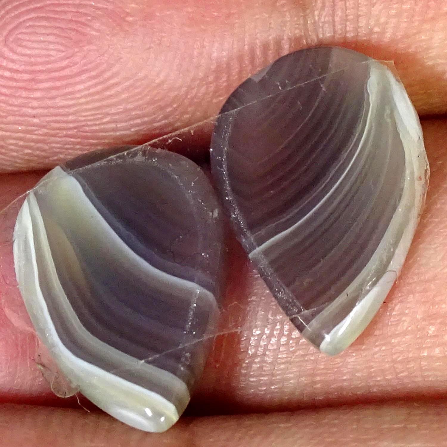 11.00Cts AA+ Natural Botswana Pair Agate Fancy Cabochon Gemstone 11X17X3MM