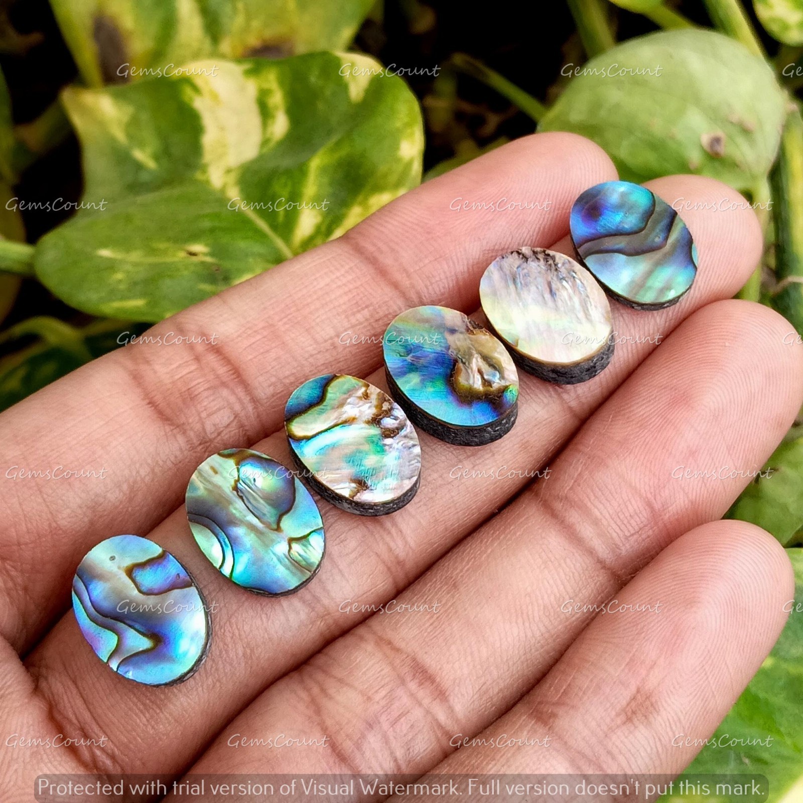 Natural Abalone Shell Flat Back Oval Cabochon Loose Gemstone 5x7mm-15x20mm