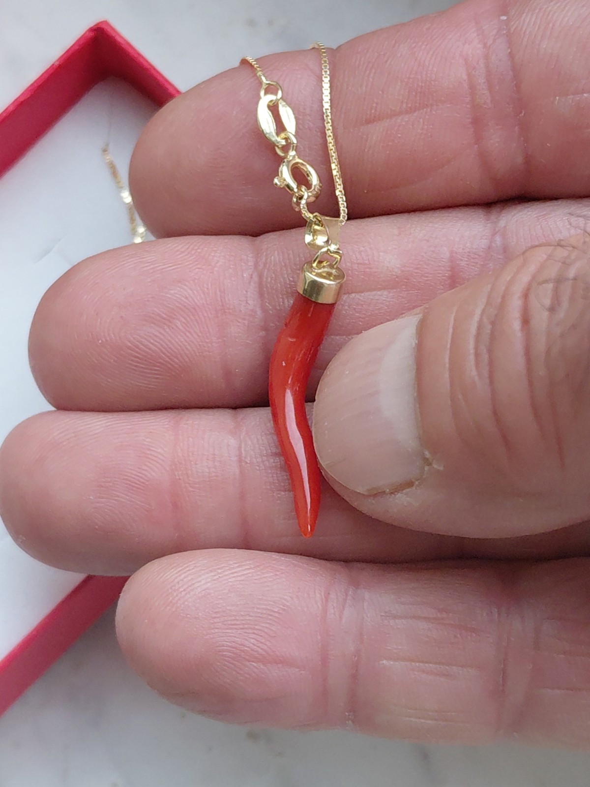 SARDINIAN RED CORAL HORN NECKLACE + AMULET ON SILVER,925