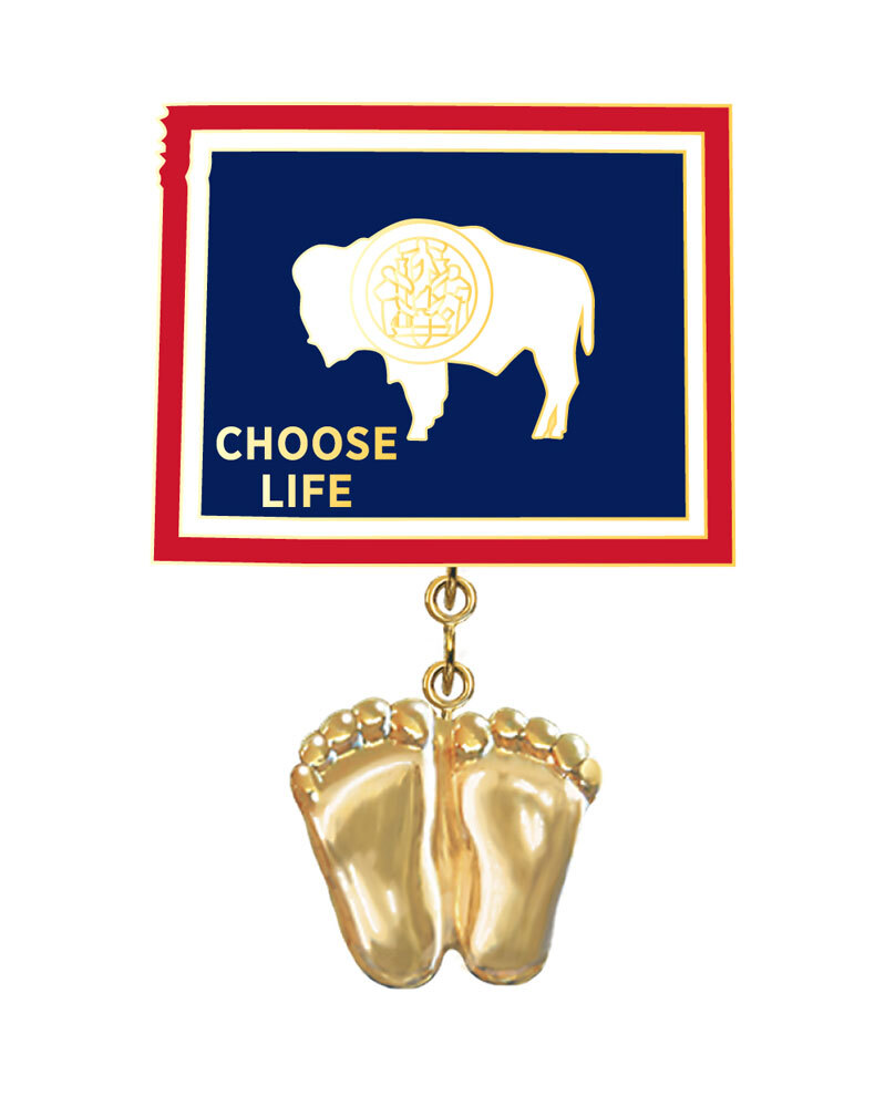 Precious Feet, 14K Gold Plated, Wyoming Flag Jewelry, Lapel Pin