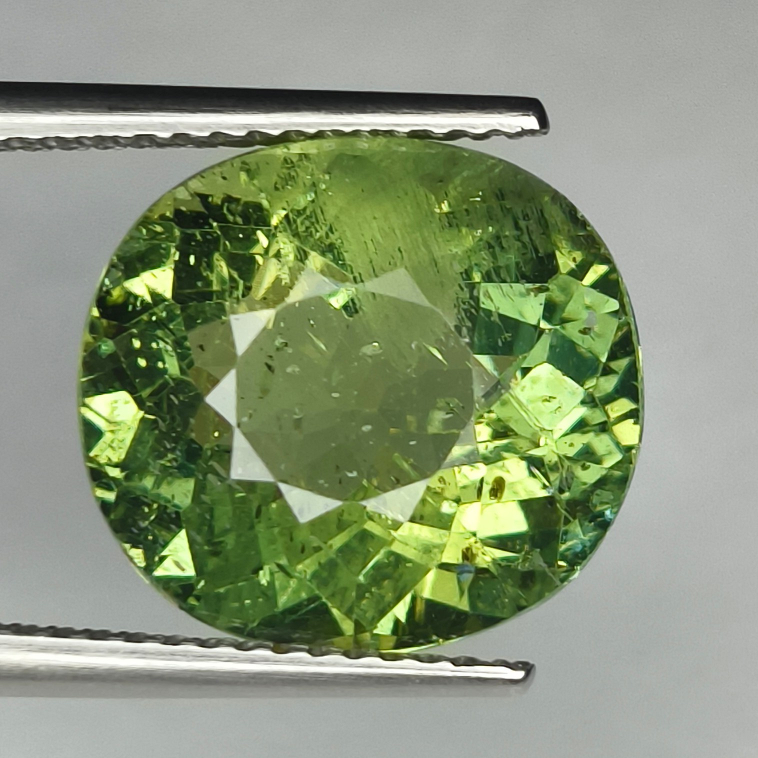 100% NATURAL 7.83Cts BEAUTIFUL SUPER GREEN APATITE