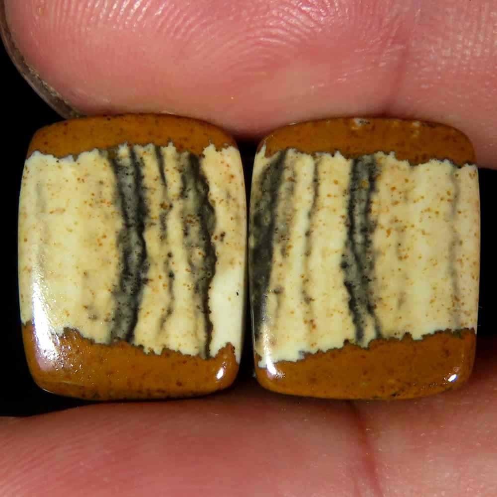 15.90Cts.100%Natural Designer Picture Jasper Cushion 12x15x4mm cab Pair Gems