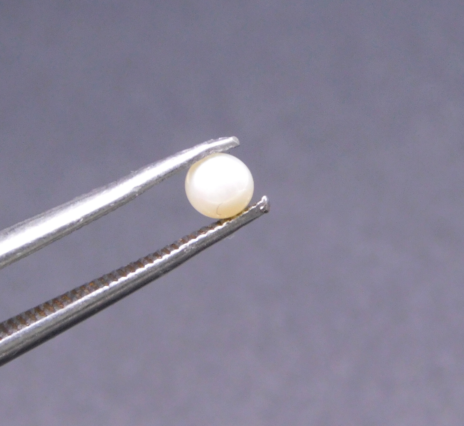 3 MM Natural Pearl Half Round Cab Lot Loose Gemstone For Jewelry Making P-3481