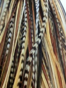 Feather Hair Extension Five Genuine 7-12 Beautiful Long Black with Beige Feather
