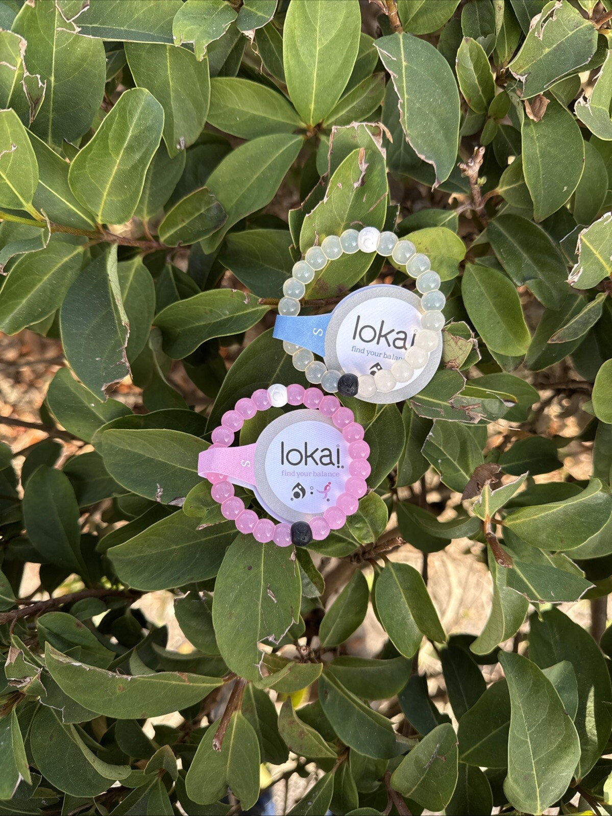 Lokai Bracelets Set Of 2 Clear Pink Small 6”