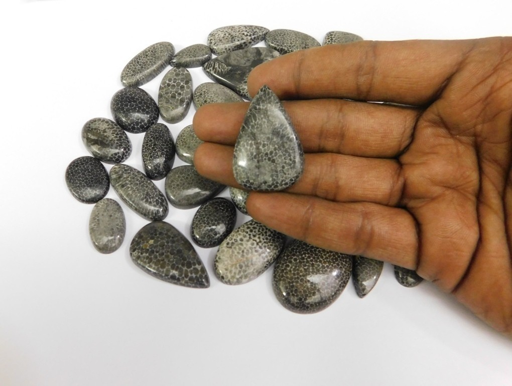 Natural Black Fossil Gemstone Cabochon, Best For Unique Jewelry Creation 71302