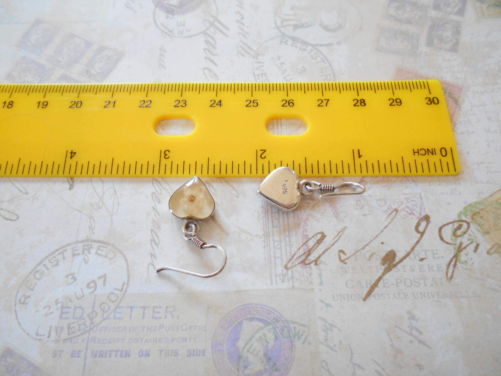 Charming Sterling Silver Dried Flowers in Resin Earrings 30Z50-8