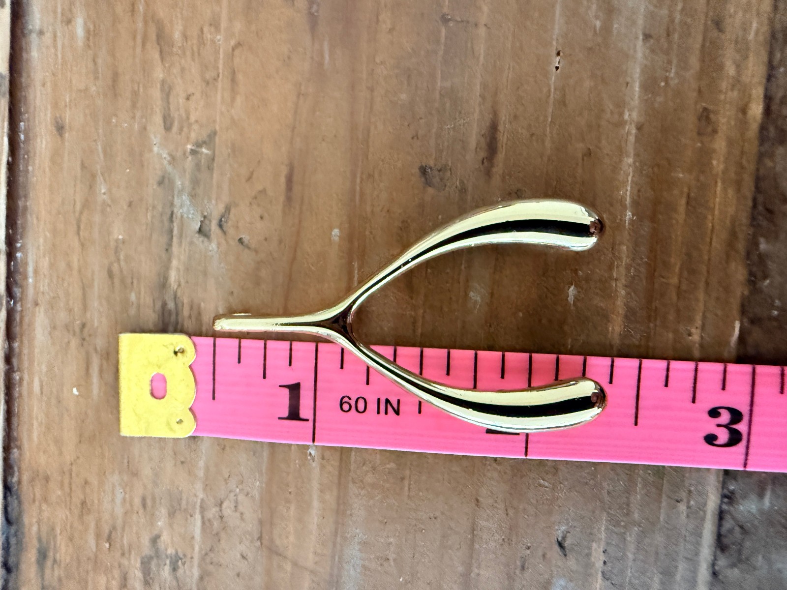 Jane Win Gold Tone LUCKY JW Large Wishbone Pendant Necklace NO CHAIN