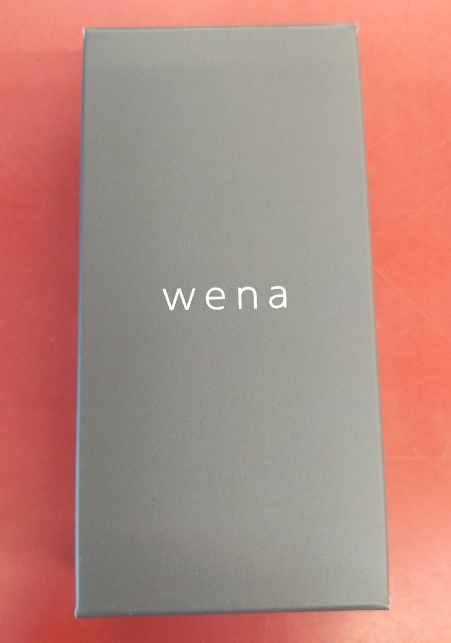 wena 3 End Piece WNW-EP232 Silver NEW