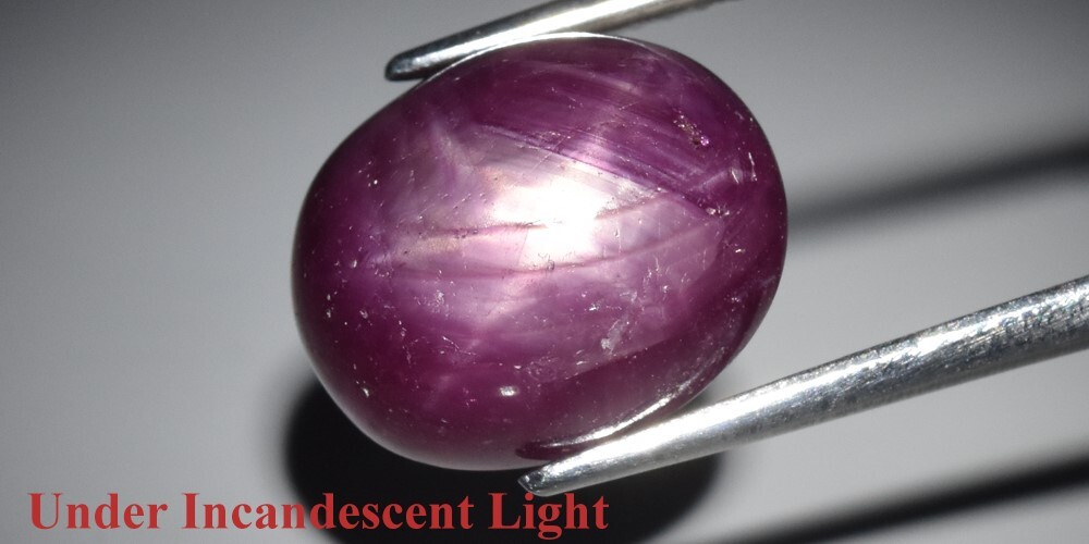 9.05ct 12×9.8mm Oval Cab Purplish Red 6 Ray Star Ruby (Heated Glass Filling)
