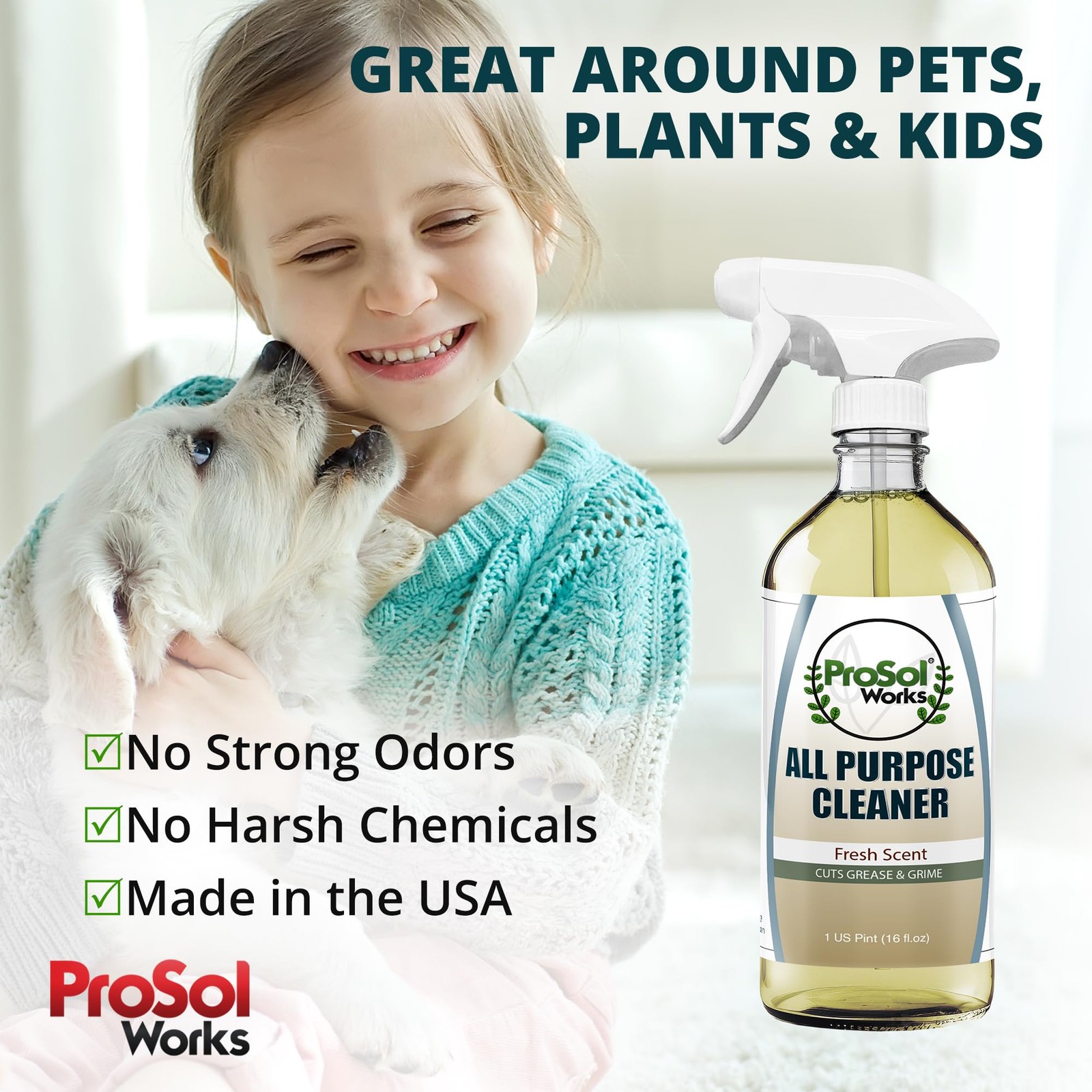 PROSOL WORKS All Purpose Cleaner Cleaning Spray 16 oz – 16 Fl Oz (Pack of 1)