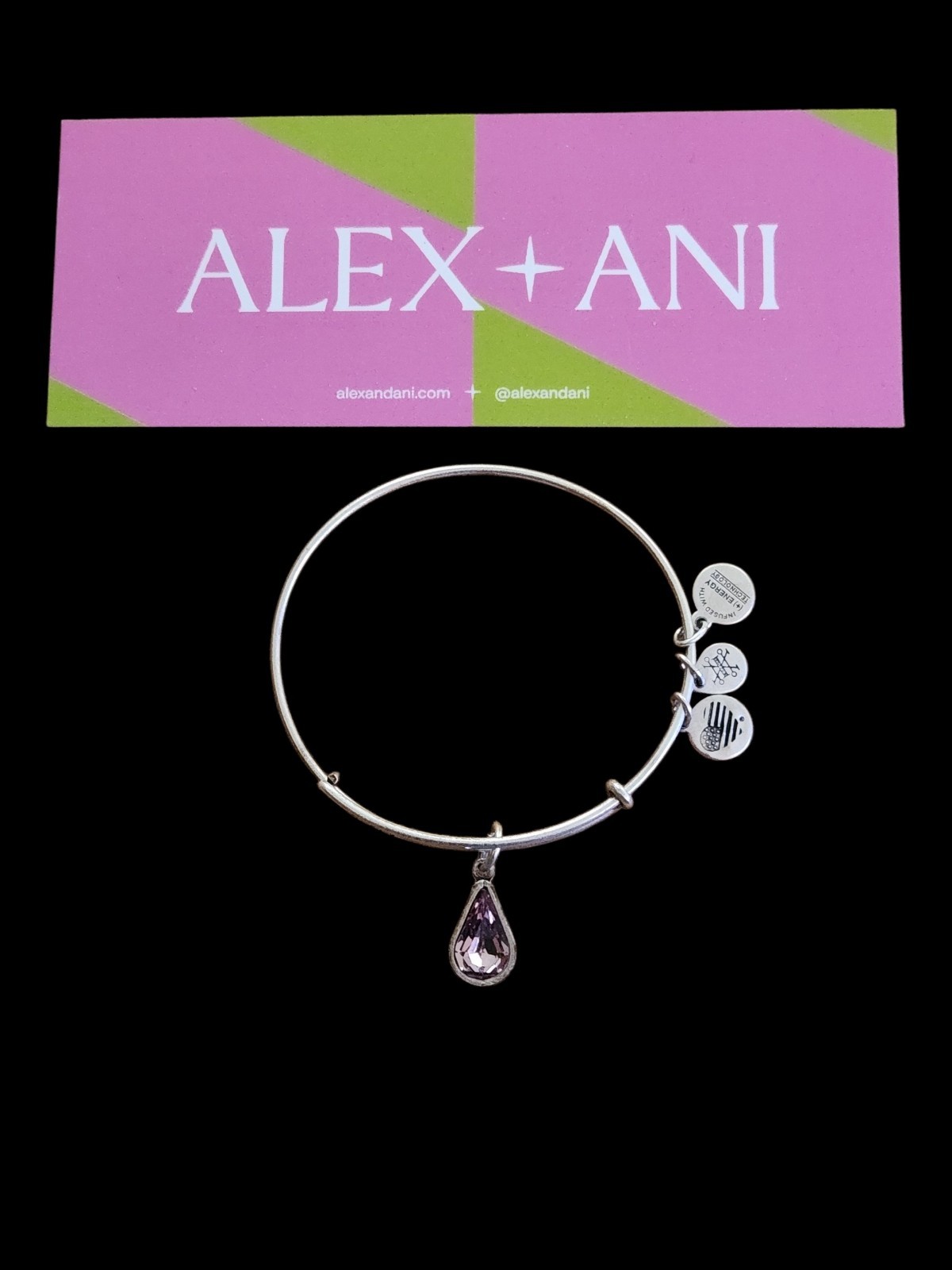 Alex And Ani June Birthstone Rafaelian Silver Charm Bangle Bracelet NWOT