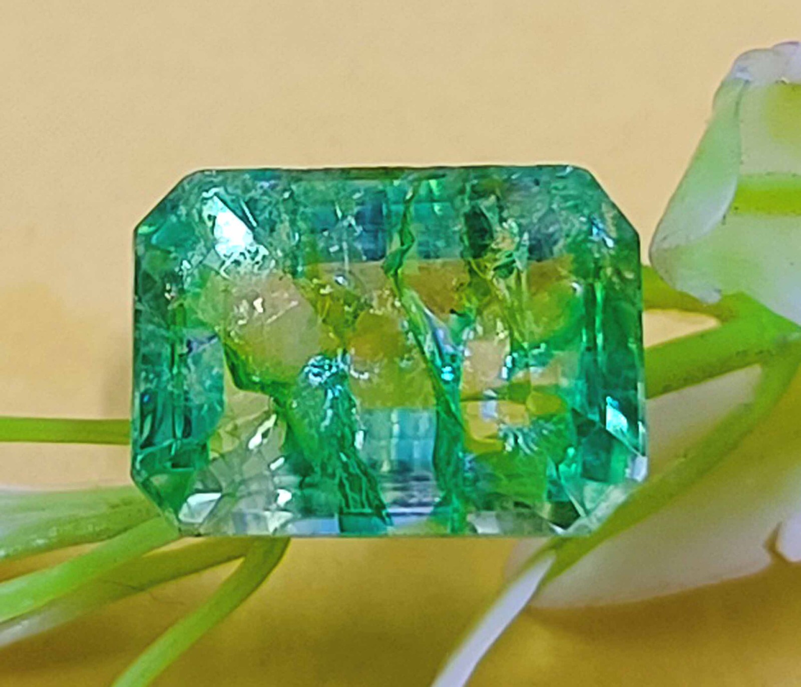 Unique Zambia Green Emerald Certified 8 Ct Natural Emerald Cut Loose Gemstone DD