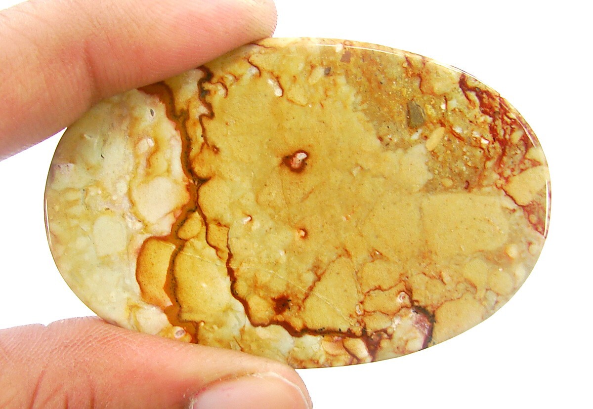 95.00 Ct Natural American Jasper Loose Gemstone Cabochon Wire Wrap Stone – 1490
