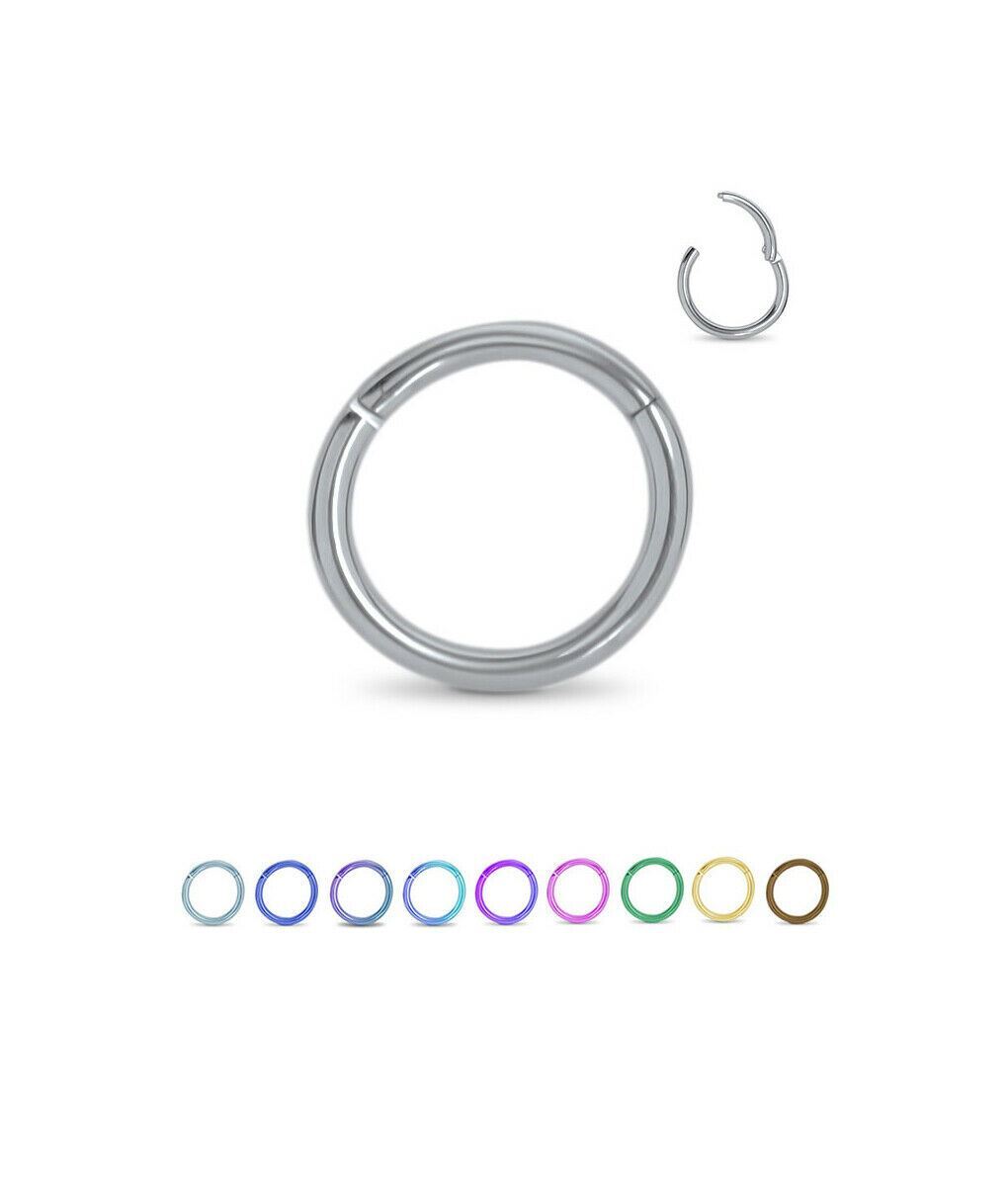 Titanium Hinged Segment Ring Nose Hoop Ear Cartilage 5/16″ – 8mm 14 Gauge 14G