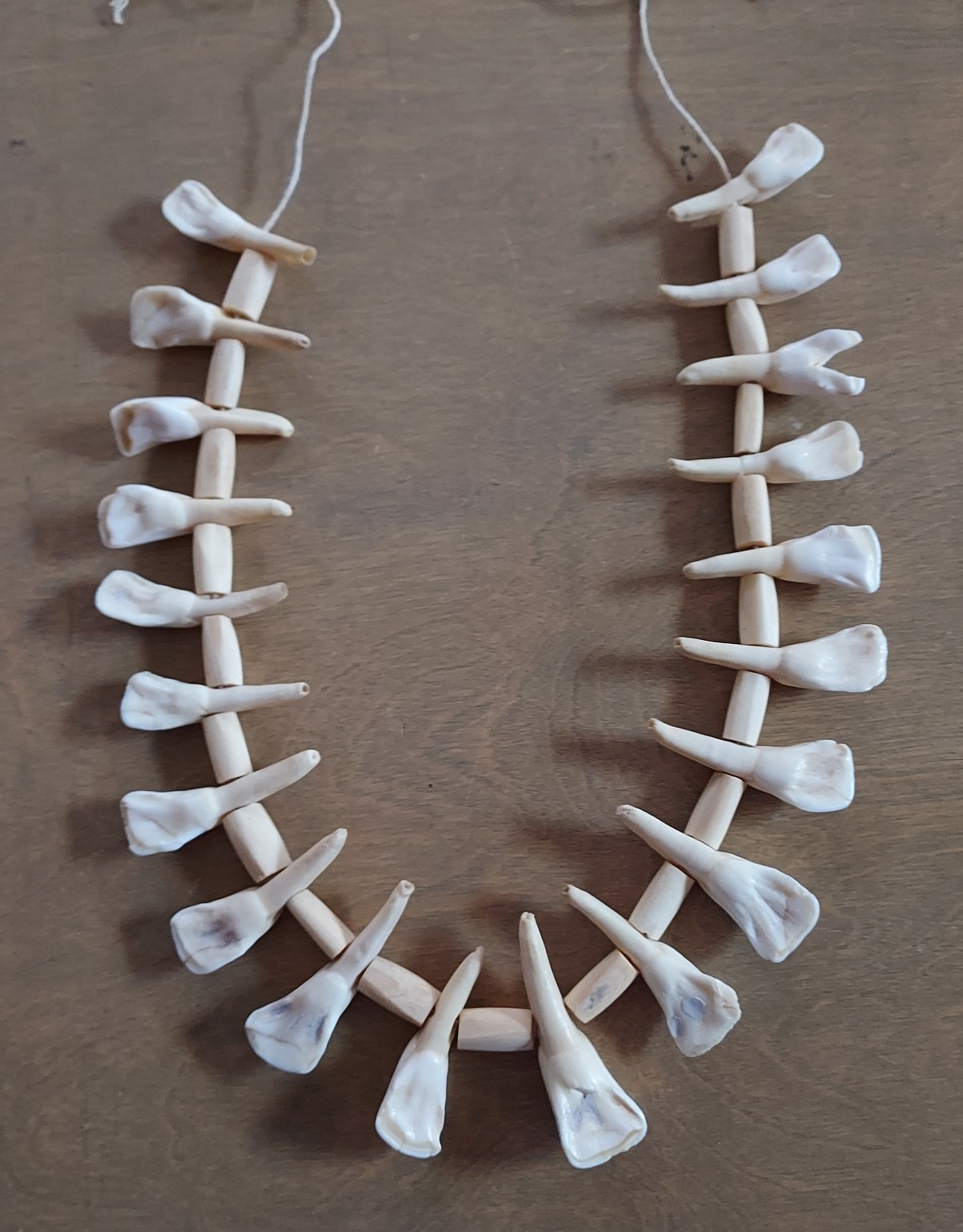 REAL Natural Vintage Tribal Ethnic Necklace Tooth / 20 TEETH + Animal BONES