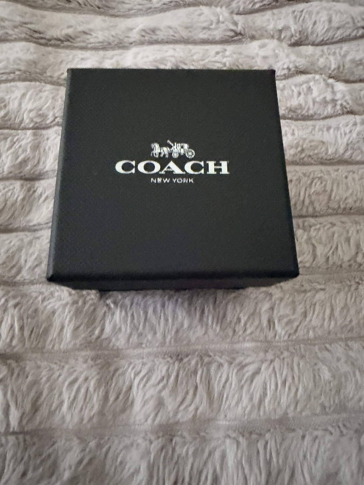 Coach Maddy Women’s Quartz Wristwatch White Silicone Band Silver Dial BNIB