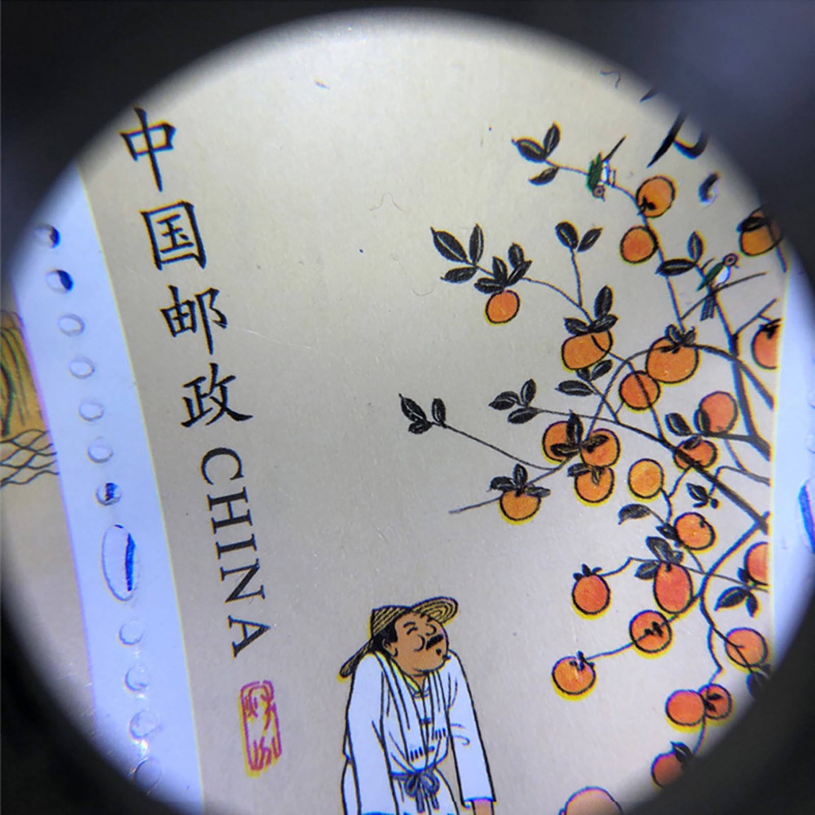30X Double Optical Glass Lens Handheld Led Light HD Magnifying Glass Collection