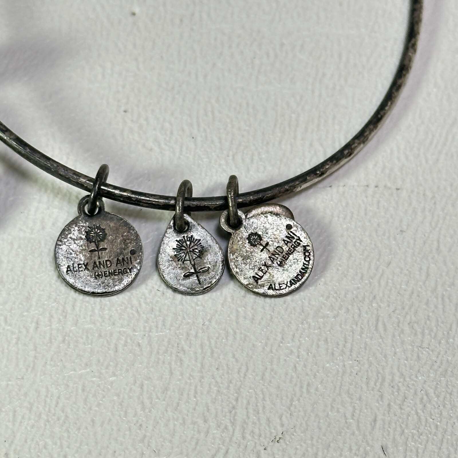 Alex & Ani Bracelet Nautical Anchor Charms Bangle Rafaelian Silver Tone Finish
