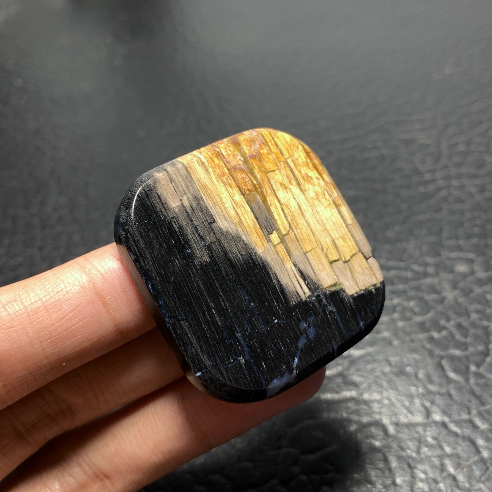 Petrified Wood Cabochon 41.5×41.5x6mm High Quality 105 ct