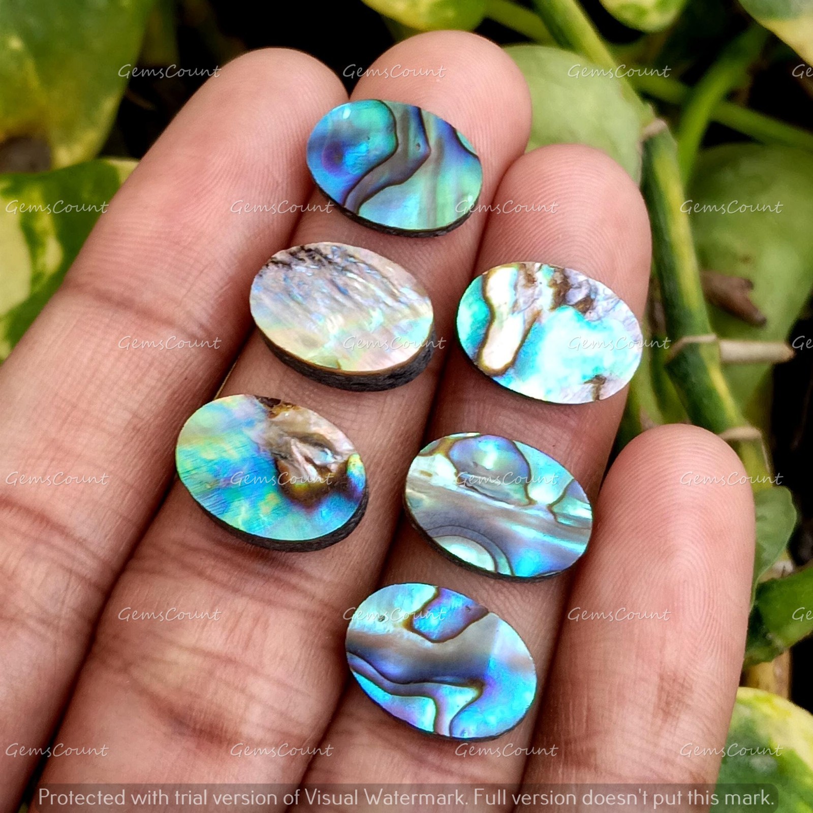 Natural Abalone Shell Flat Back Oval Cabochon Loose Gemstone 5x7mm-15x20mm