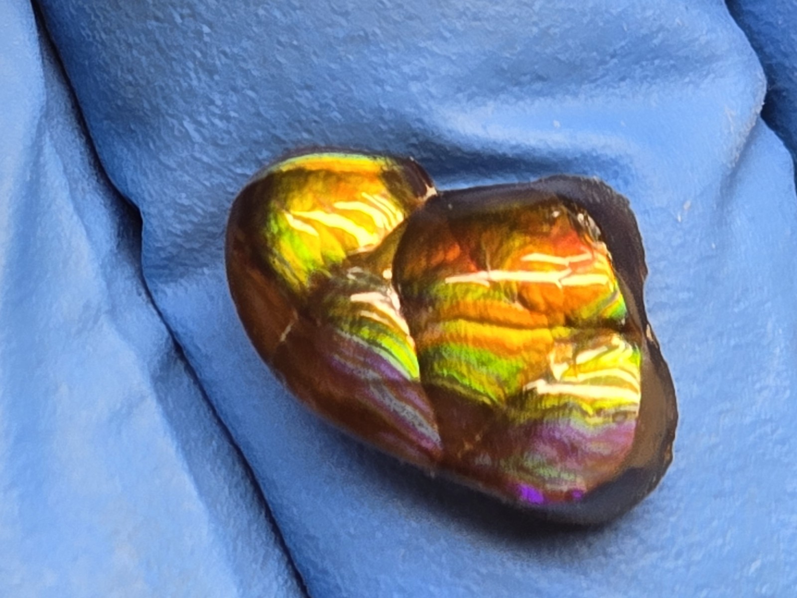 Dancing Rainbow Fire Agate Gem 6.7 Ct Original Hand Carved Natural Arizona Gem