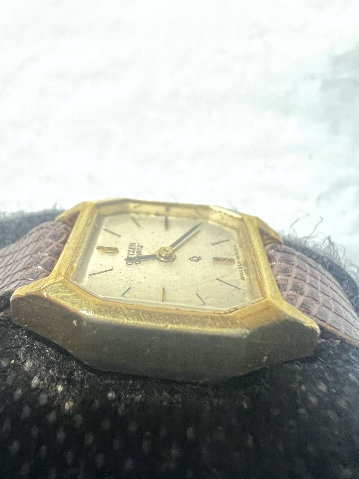 citizen vintage quartz2931-291892,Octagonal Ladies Dress Watch, Brown Lizard Ban
