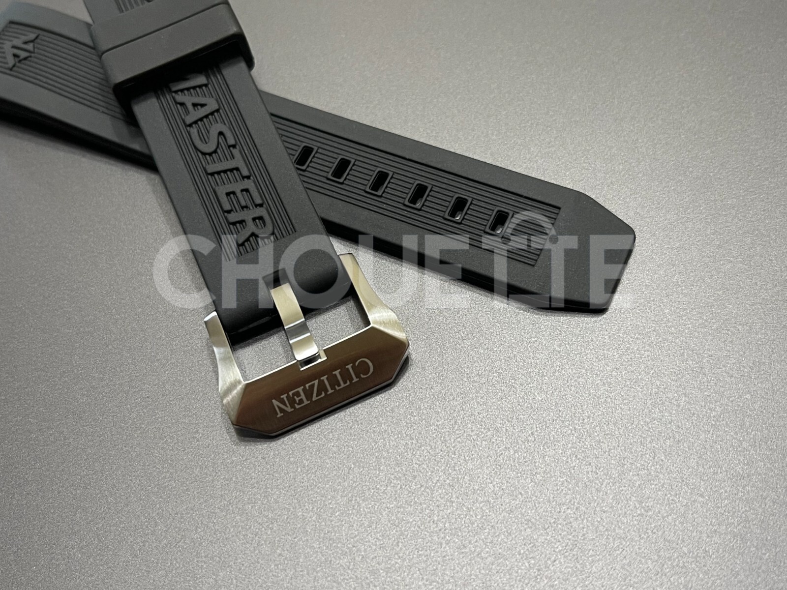 Citizen 22mm Promaster CC3060-10E, F150-S113504 BN4044-23E Watch Strap with PINS