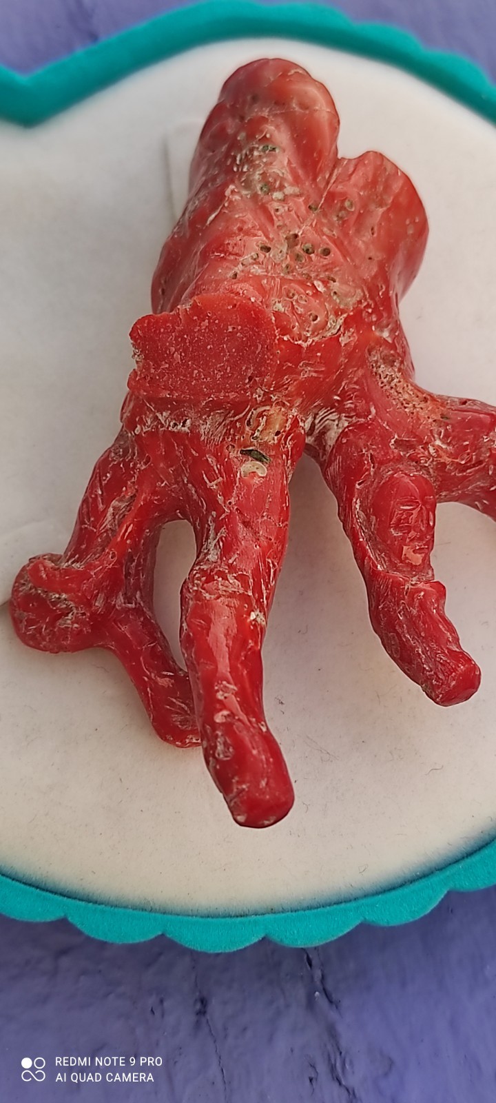 Natural Red Coral of Sardinia