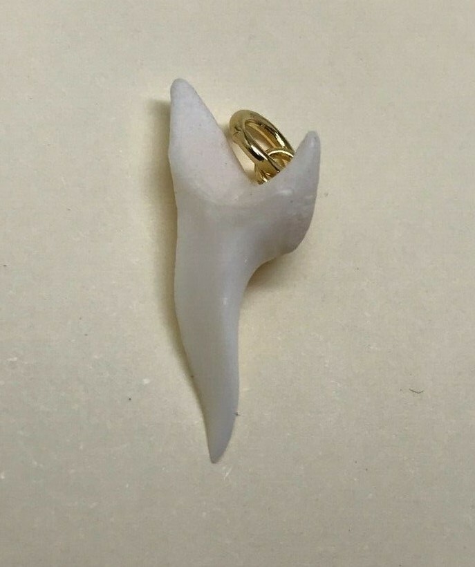 Real Shark Teeth Shiny Pendants