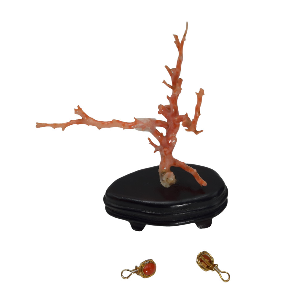 Orecchini Cabochon Corallo, Oro 750, 734E Liverino Basilio