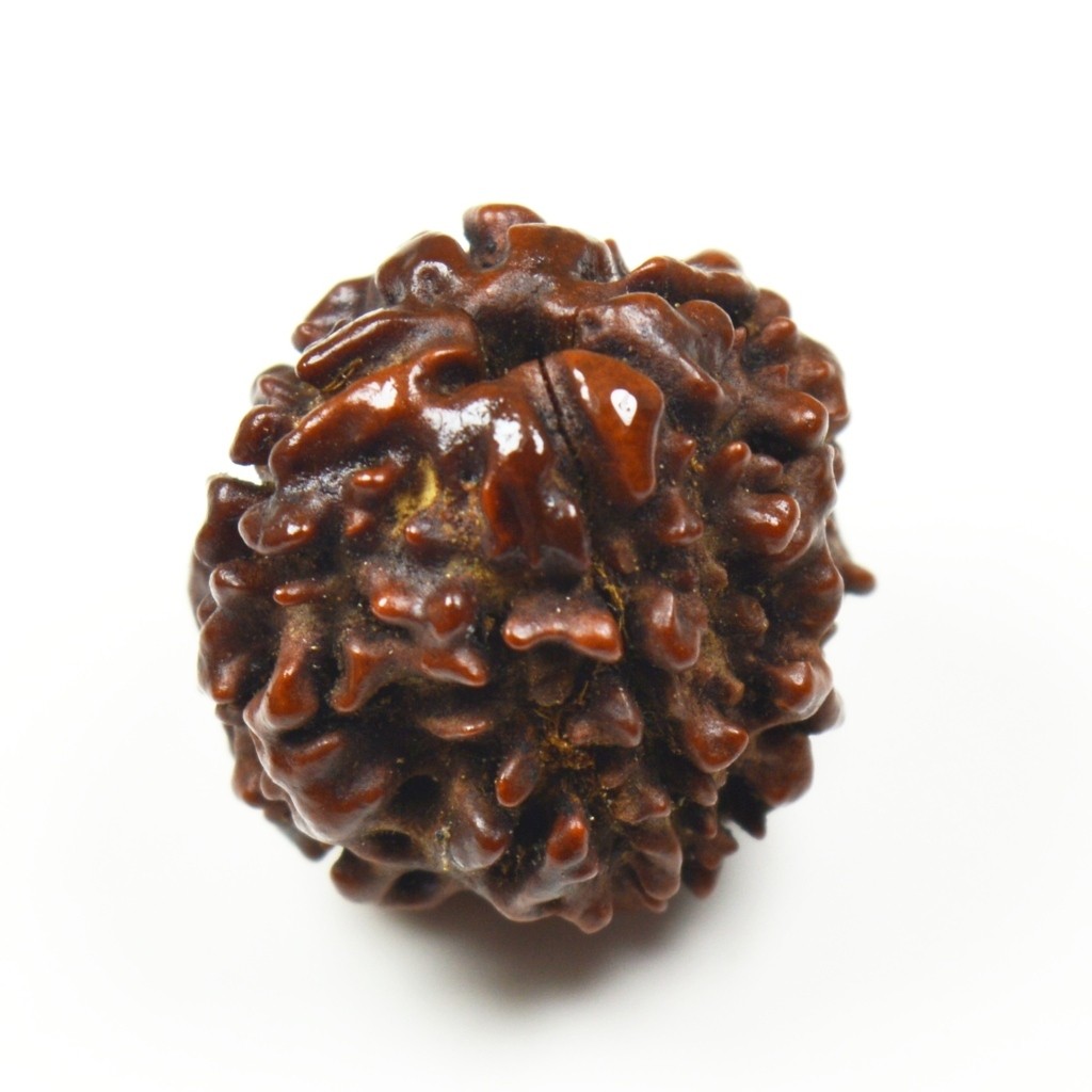 Rudraksha Pendant 8 Mukhi/EightFaced Round Red Thread Beads