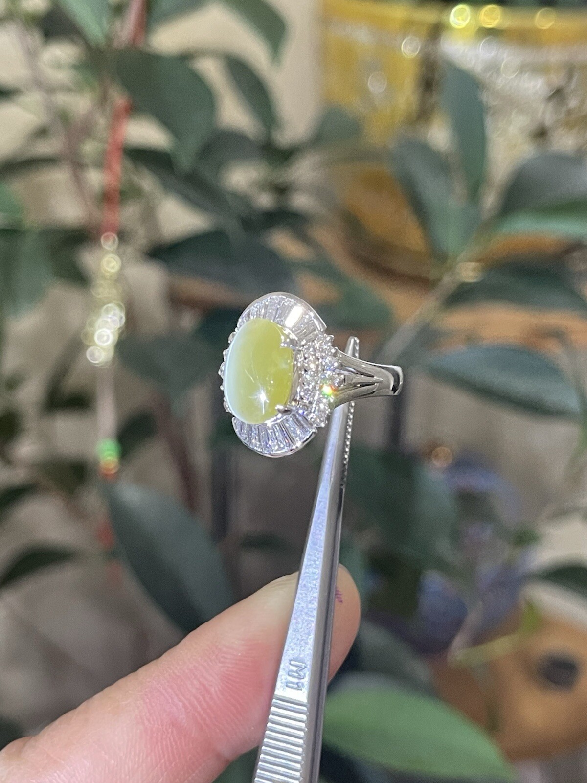 GIA 3.29ct Natural Chrysoberyl Greenish Yellow Cats Eye Ring 1.38ct diam,pt900
