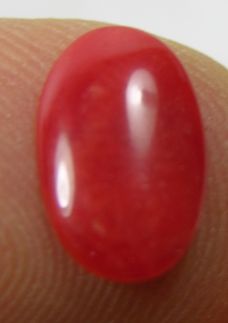 #2 Rare Japan 100% Natural Reddish Orange Coral Oval Cabochon Gemstone 11.00mm
