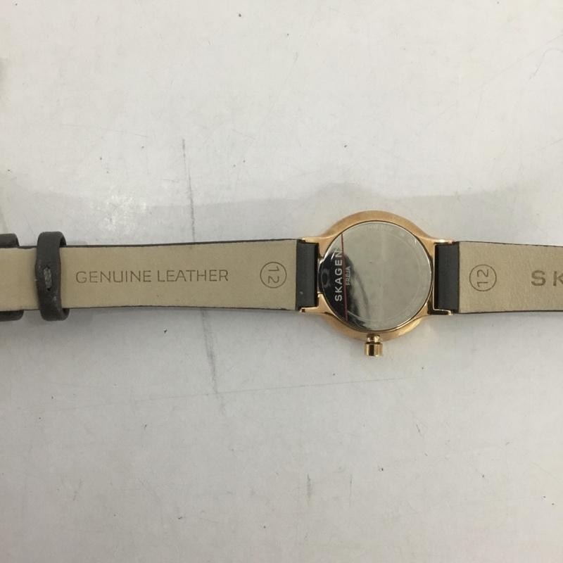 SKAGEN Analog (Quartz) Wristwatch Watch Analog (Quartz) SKW2669 with Box USED 2N