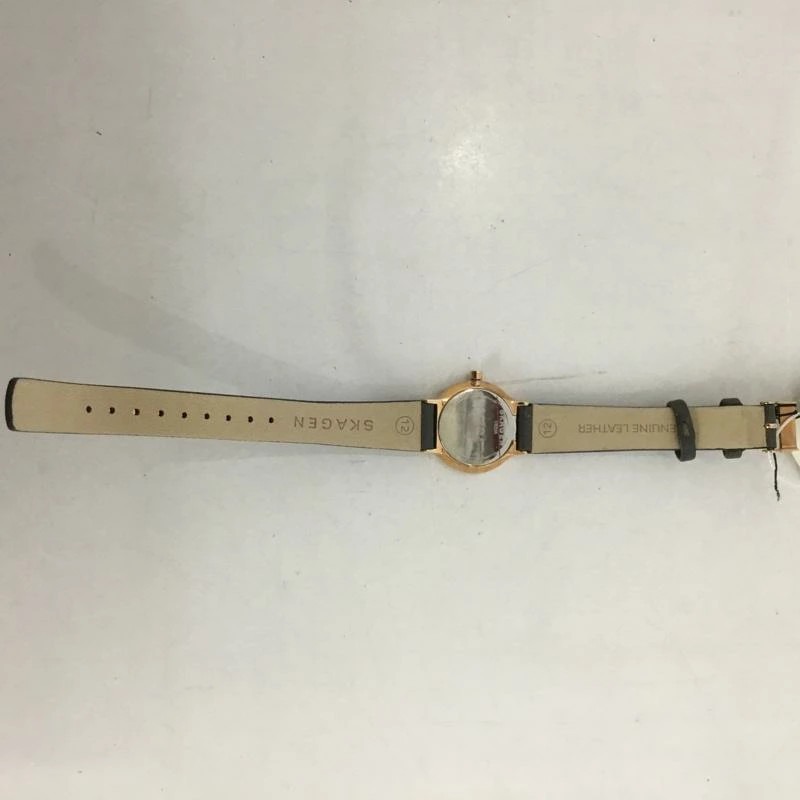 SKAGEN Analog (Quartz) Wristwatch Watch Analog (Quartz) SKW2669 with Box USED 2N