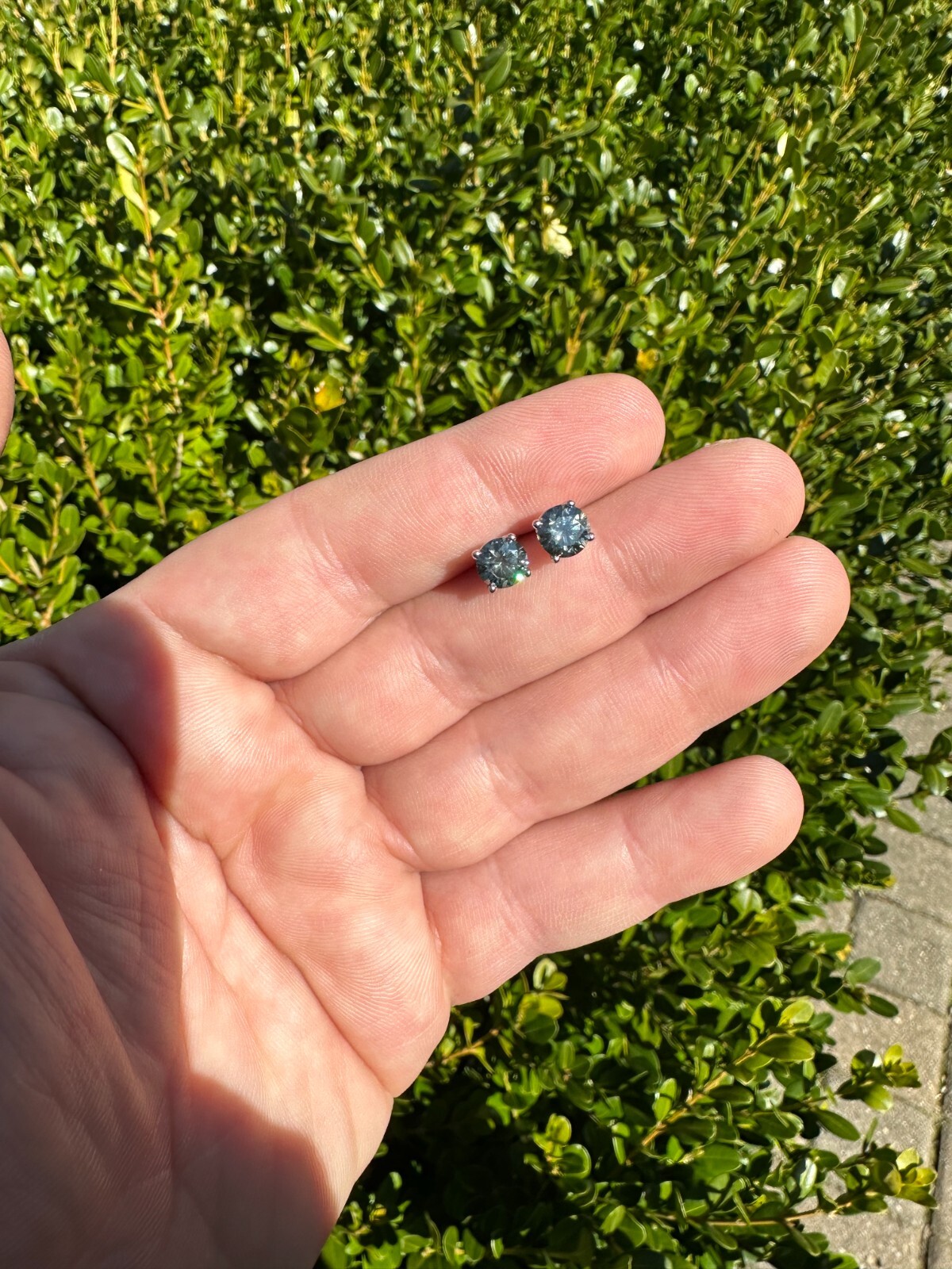 Real Blue Gray Moissanite Screwback Stud Earrings 925 Silver 3-8mm Iced Tester ✅
