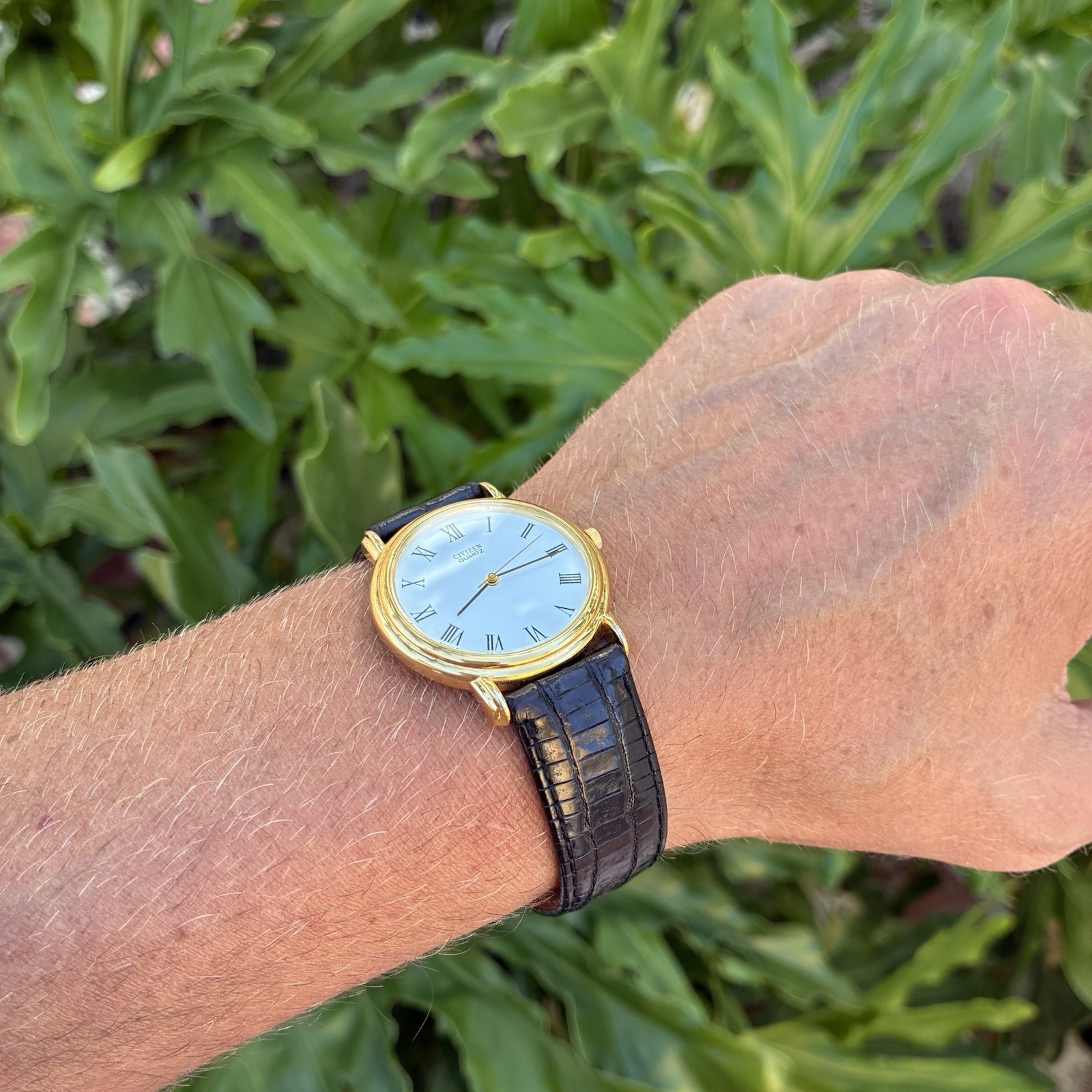 BEAUTIFUL Citizen Men’s Classic Dress Watch