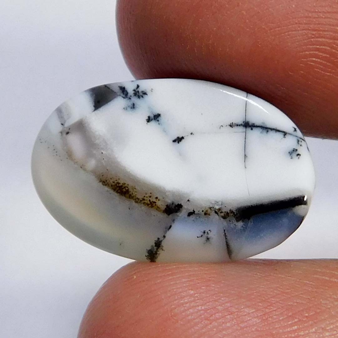 10.00Cts. Natural Gorgeous Dendritic Opal Oval Cabochon Reiki Healing Gemstone