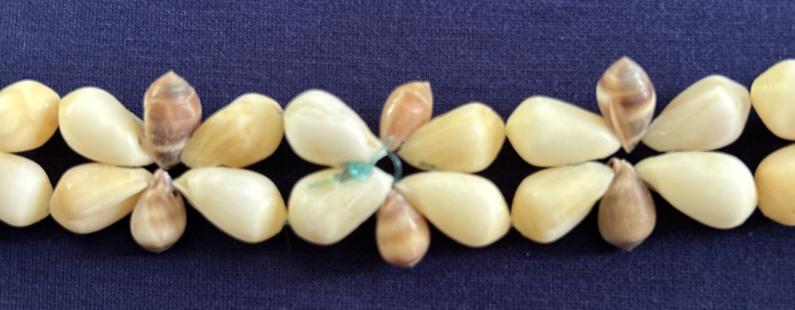 Vintage Cowrie Sea Shell NECKLACE Long Heavy 18” Hawaiian Lei