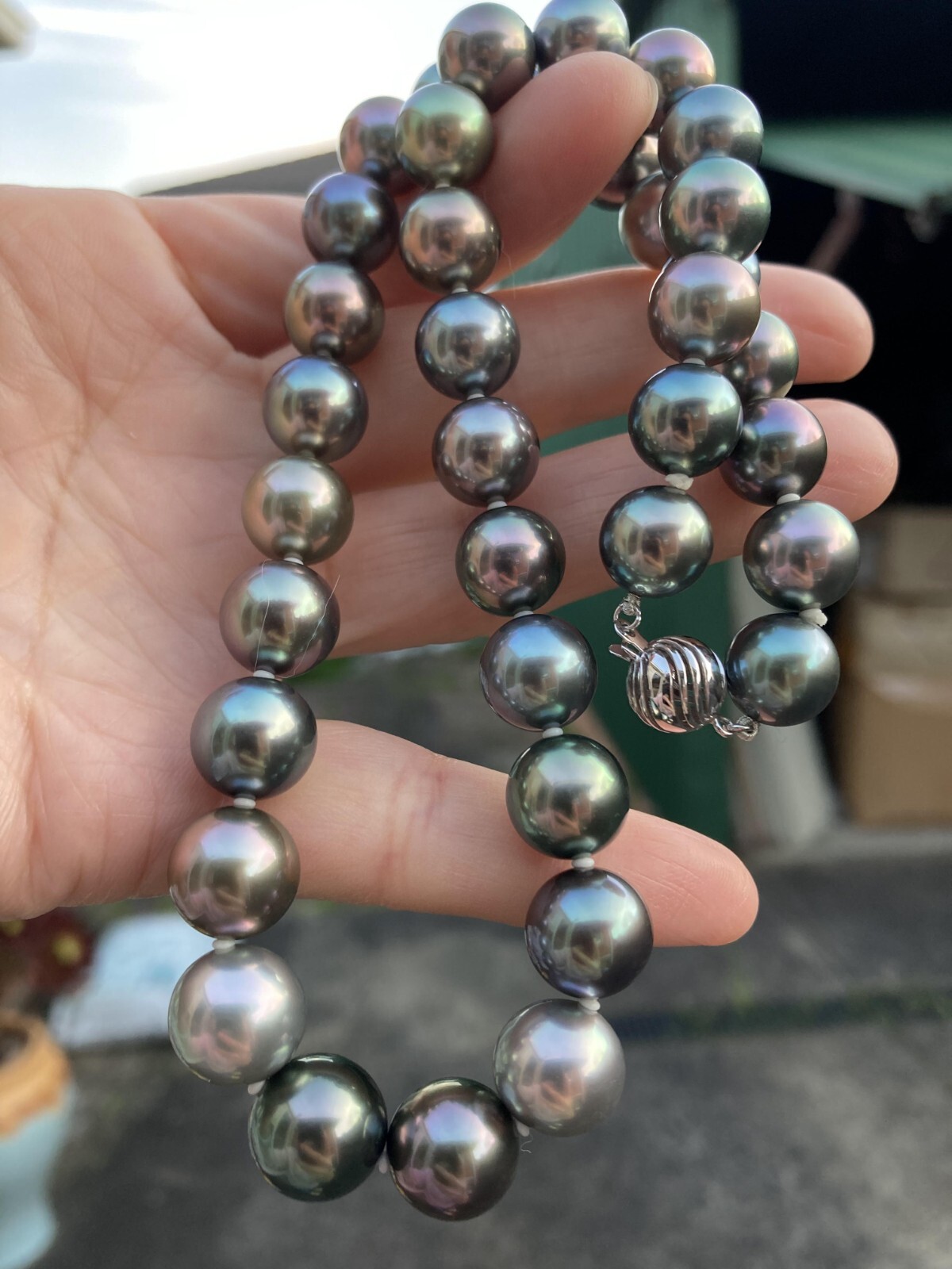 Rare Multi-gray Peacock black Tahitian Pearl 10-11.6mm Top Quality Necklace 43cm