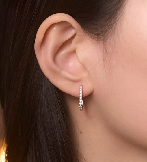 Hot Sales Elliptical Earrings with Trendy Zircon Inlay Earrings