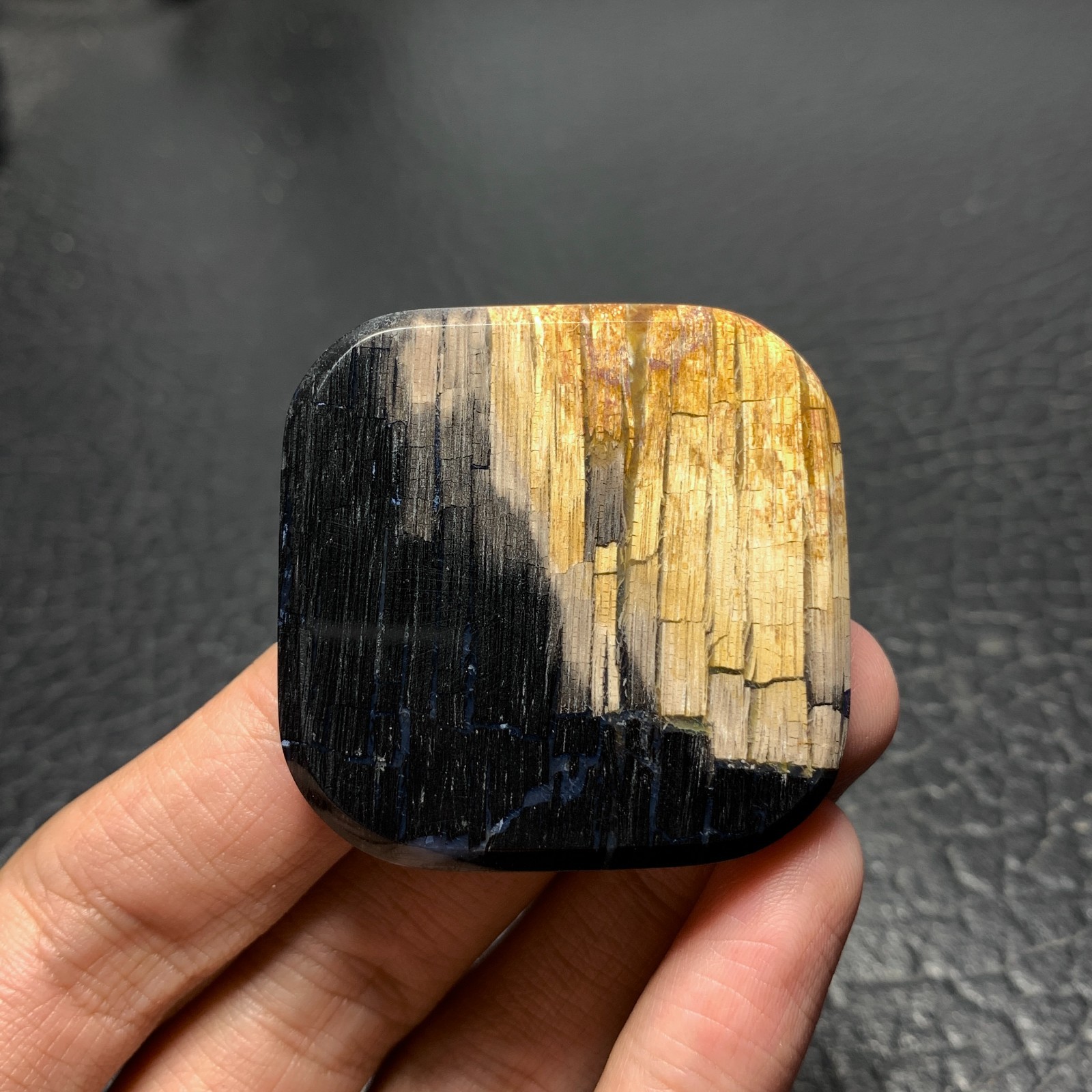 Petrified Wood Cabochon 41.5×41.5x6mm High Quality 105 ct