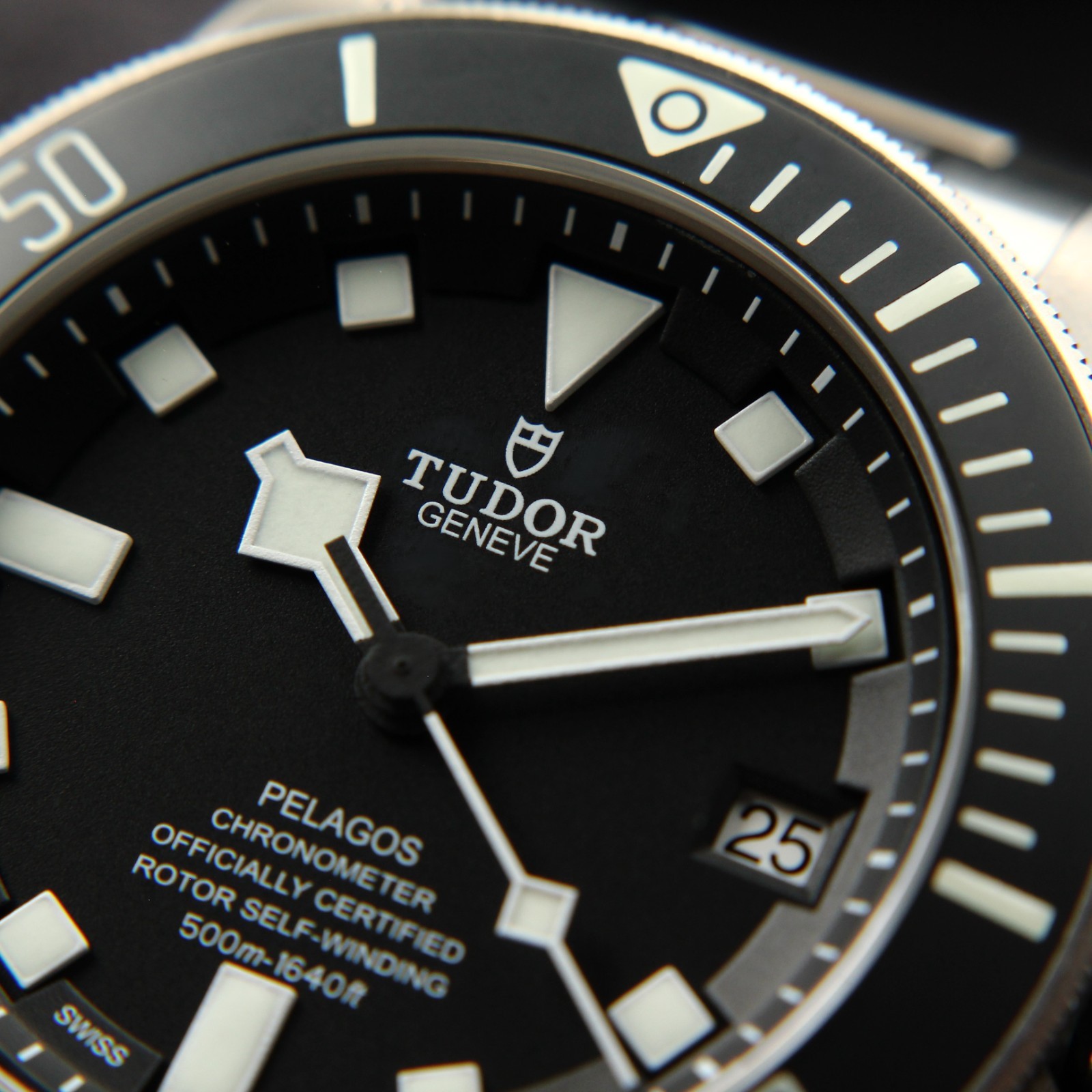 Tudor Pelagos Stealthy Black Titanium Diver, Ultra-Rugged 25600TN
