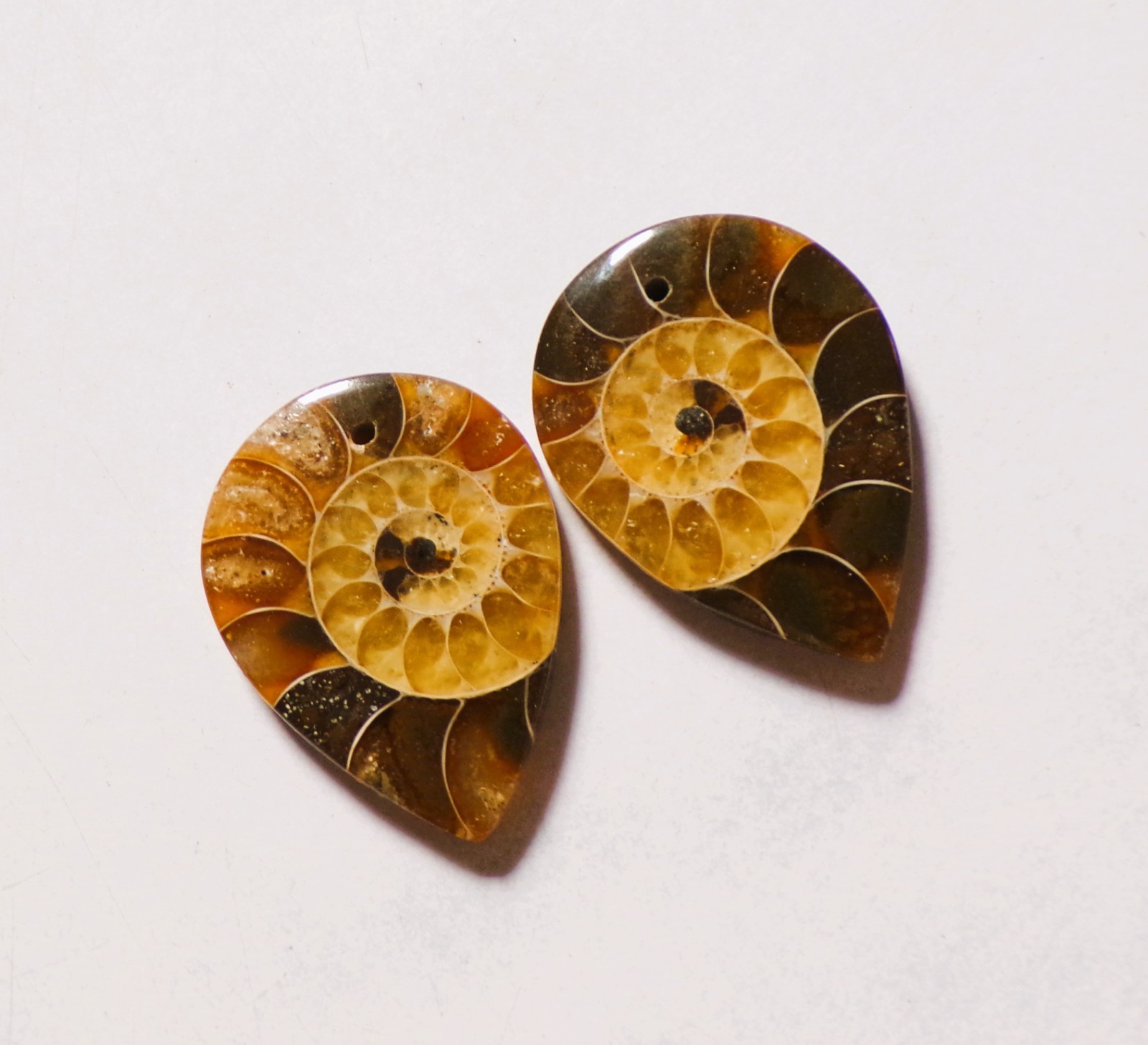 42.00 Cts Natural Ammonite Drilled Cabochon Match Pair Gemstone 27X20MM 180