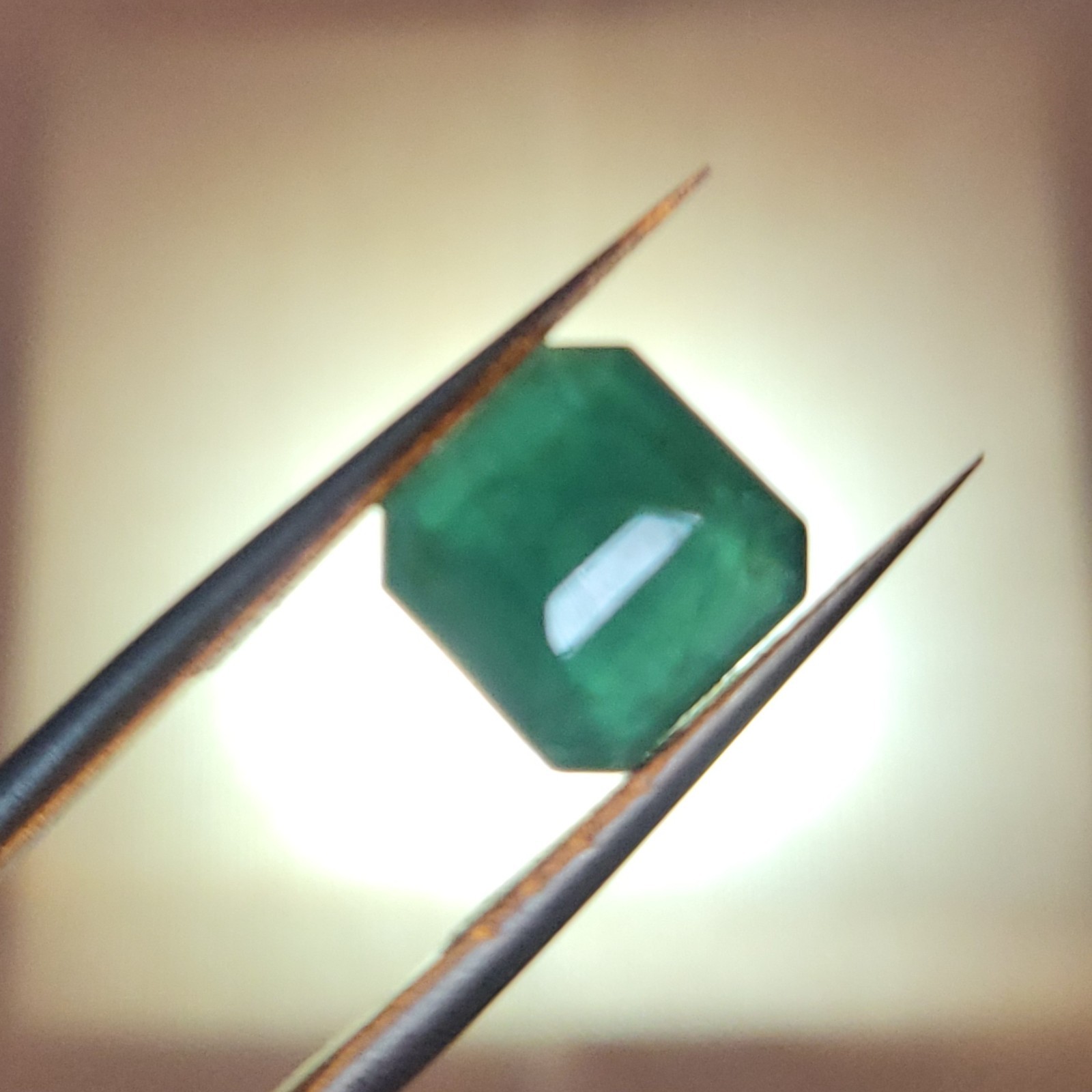 Natural Untreated Certified Rich Green Translucent Columbian Emerald 3.63ct