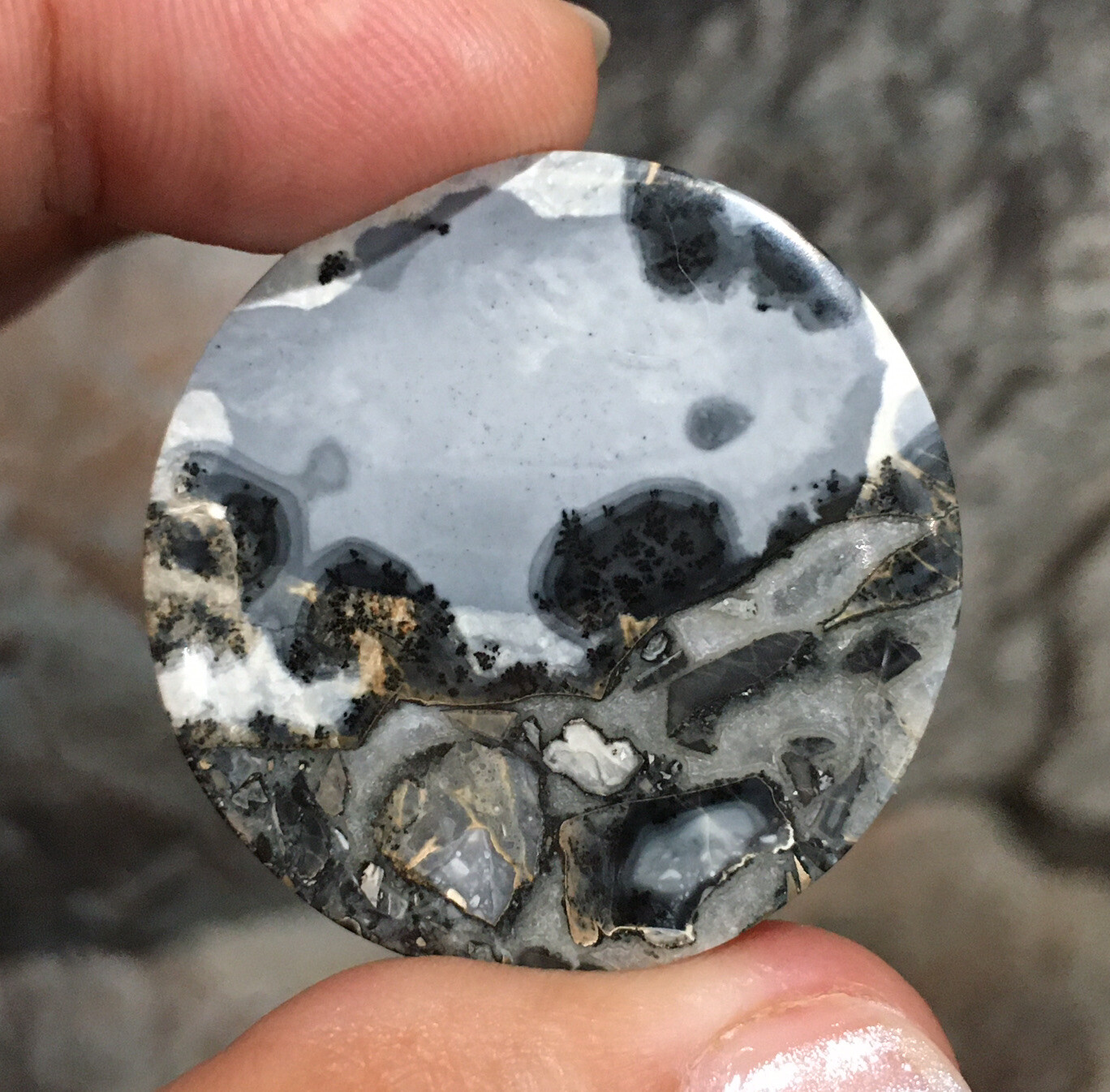 35×5.5mm Collectors’ Fine Maligano Jasper Round Cabochon Picture Stone