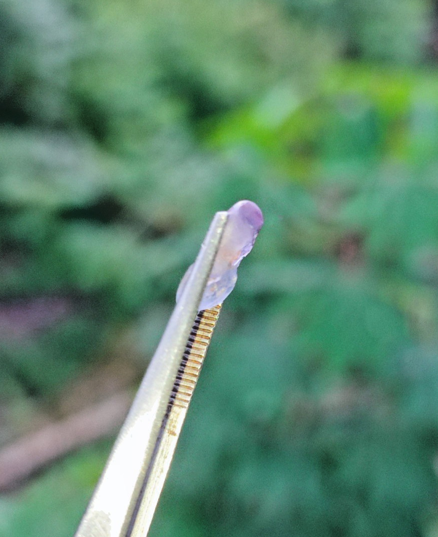 Natural Star Sapphire 2.80ct Two-Tone Purple gray | Unique Shape | Unheated