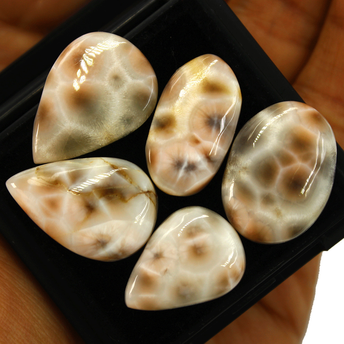 5 Pcs Natural Thomsonite AAA Quality Untreated 22mm-26mm Cabochon Gemstones Lot